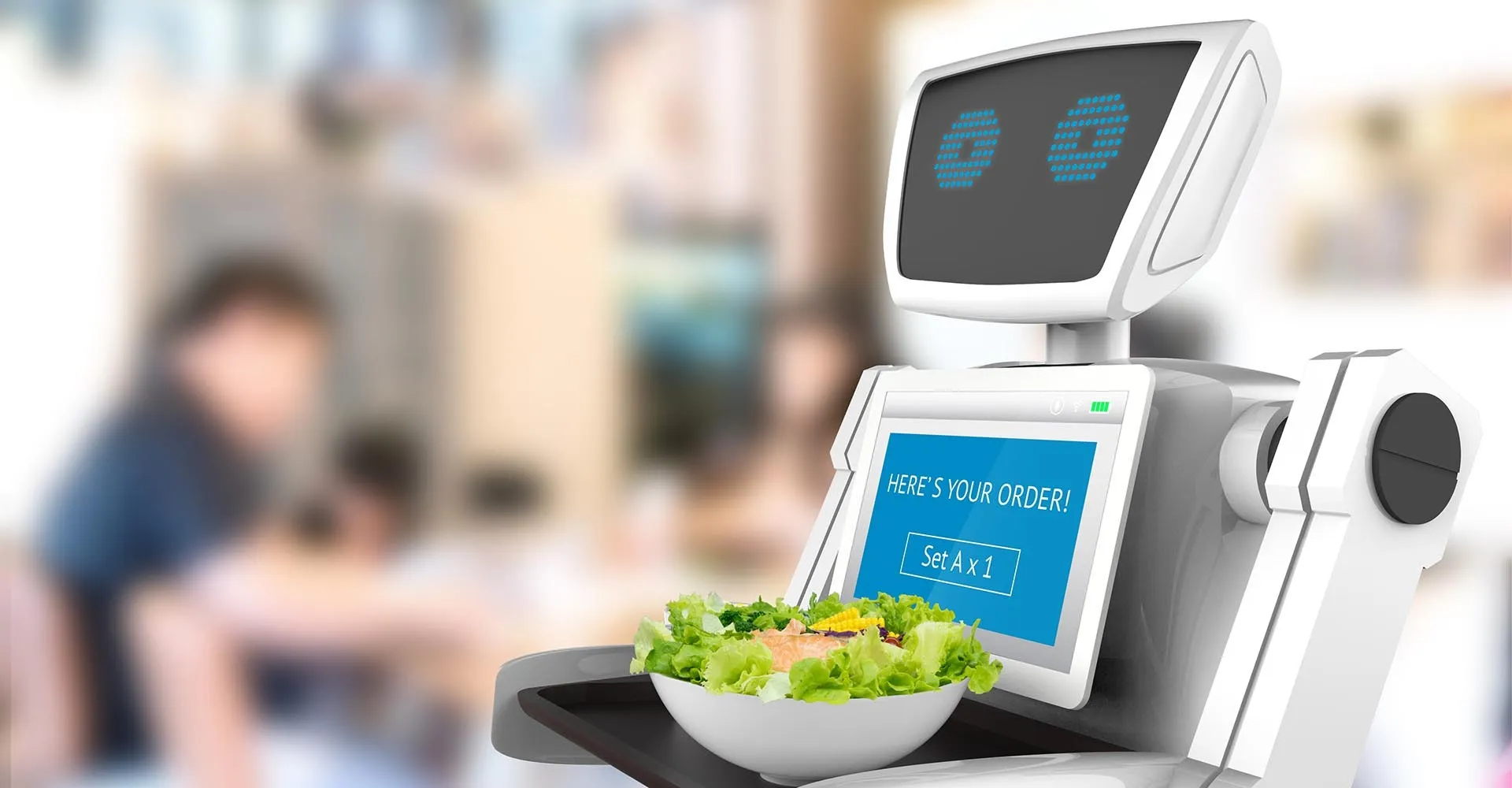Hospitality and Concierge Robots